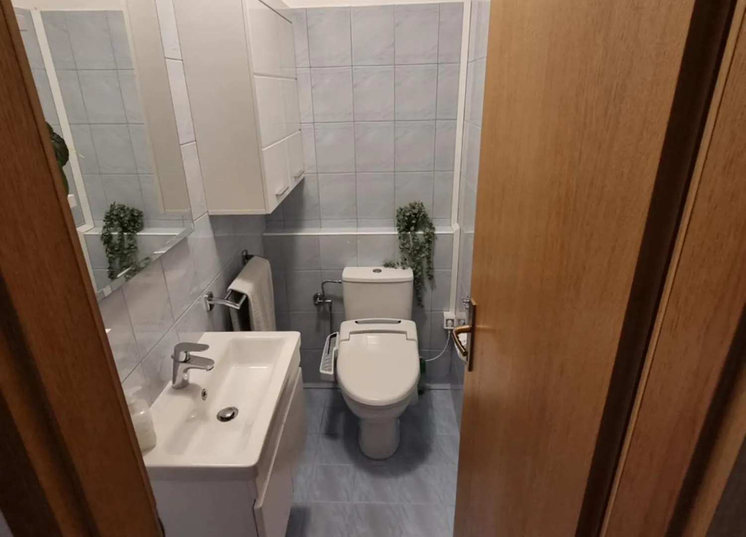 Rosa Apartment Zadar